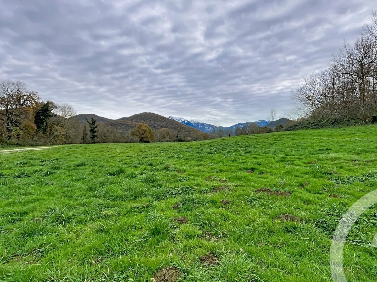 Terrain 40653 m²