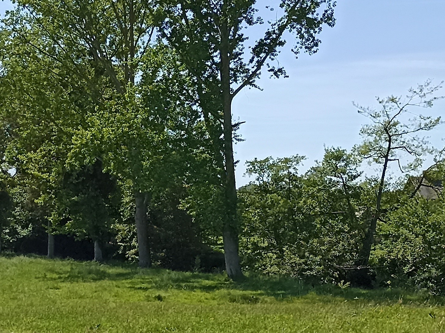 Terrain à vendre - 1930m2 - Saint-Hilaire-Du-... (50600)