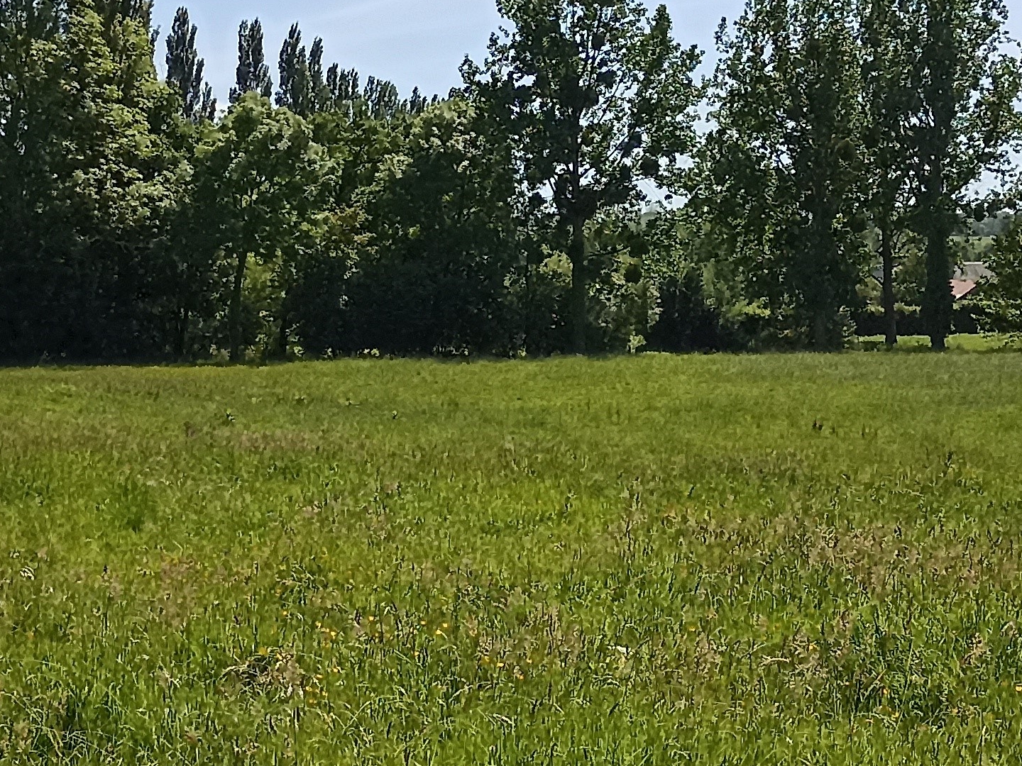 Terrain à vendre - 1930m2 - Saint-Hilaire-Du-... (50600)