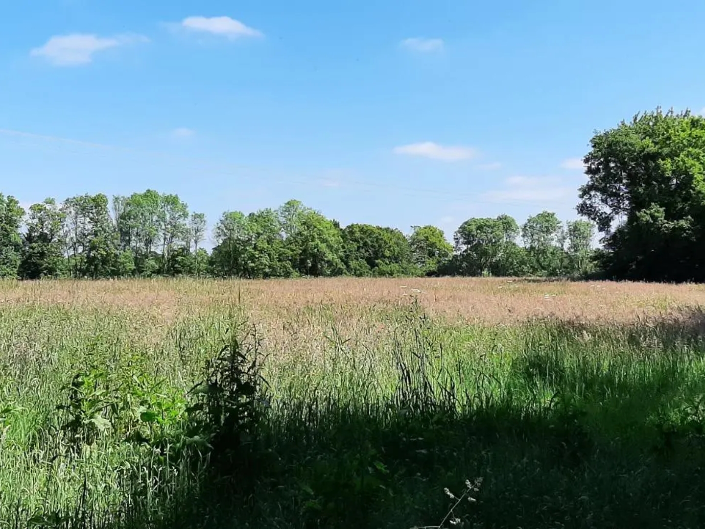 Maison à vendre - 5 pièces - 97m2 - Guiscriff (56560)