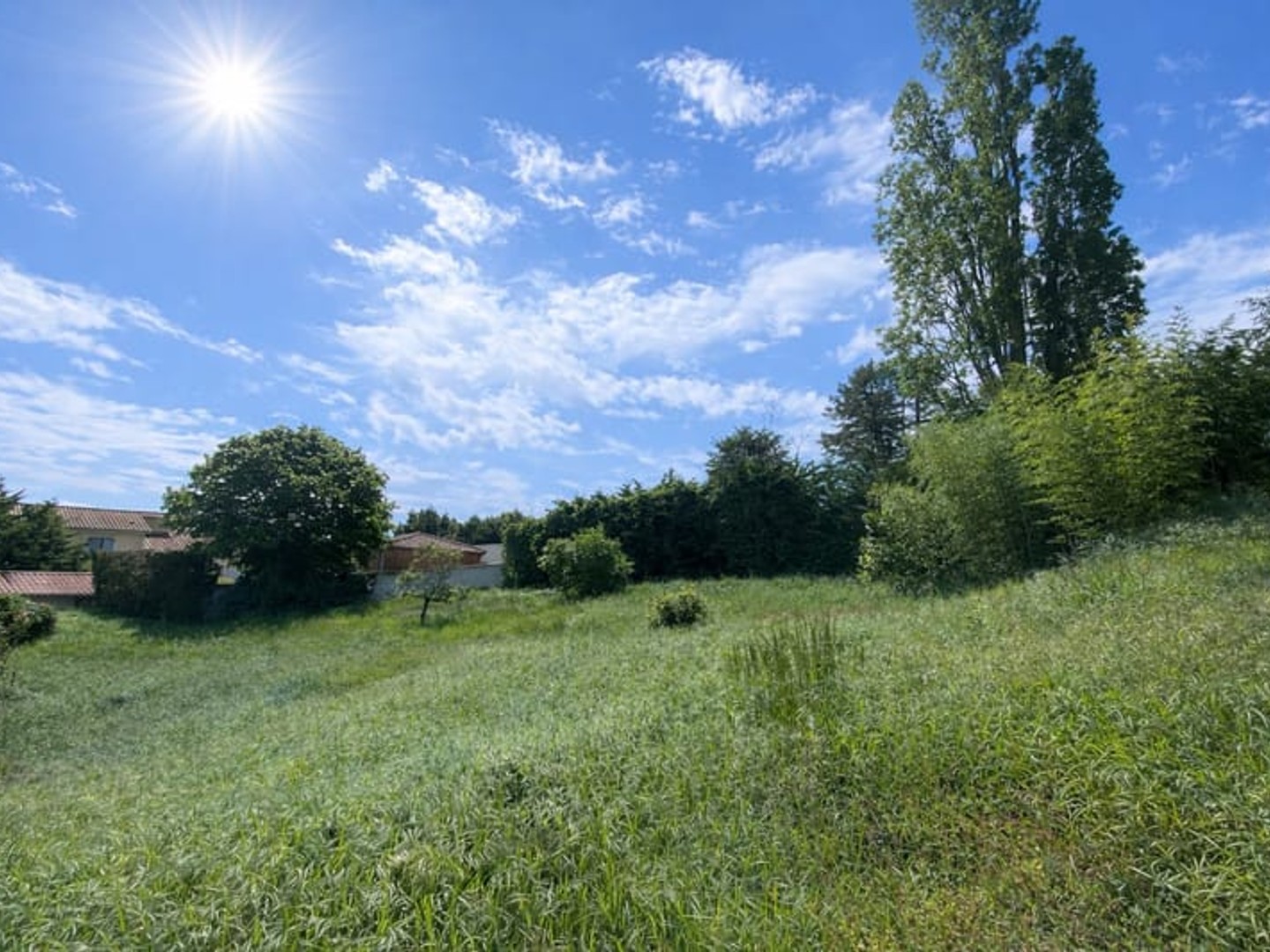NOUVEAUTÉ PRINTEMPS 2026 - TERRAIN EN LIMMITE DE ZONE VERTE