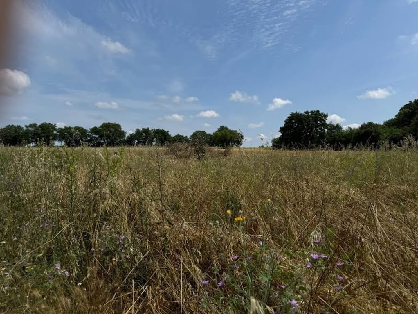 Terrain 150 m²