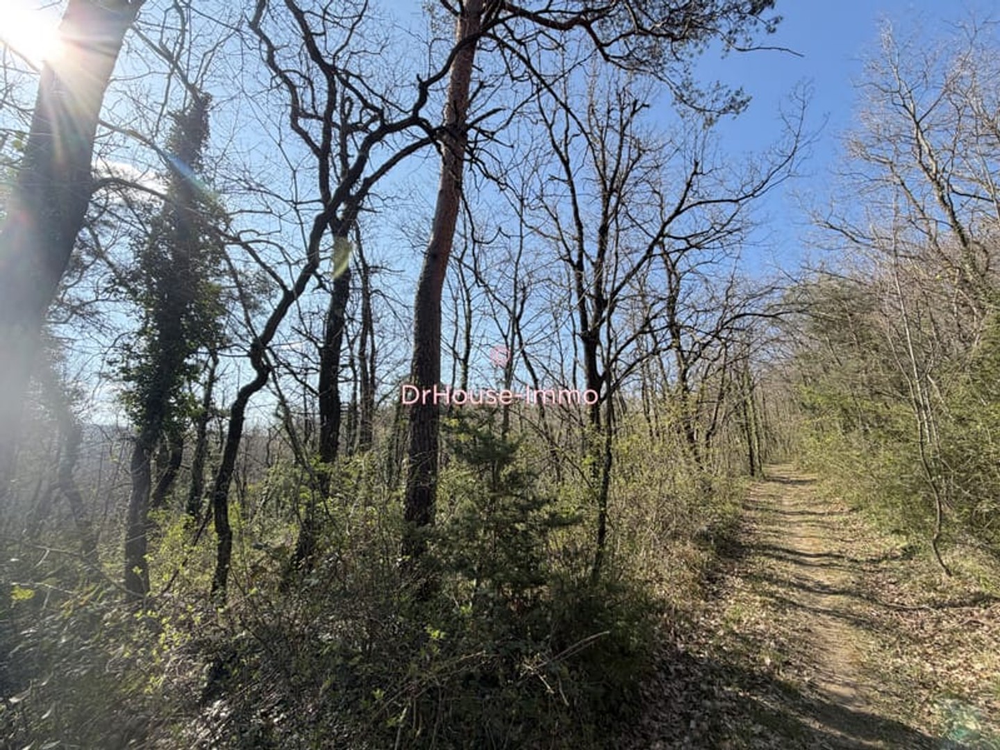 Parcelle de Bois