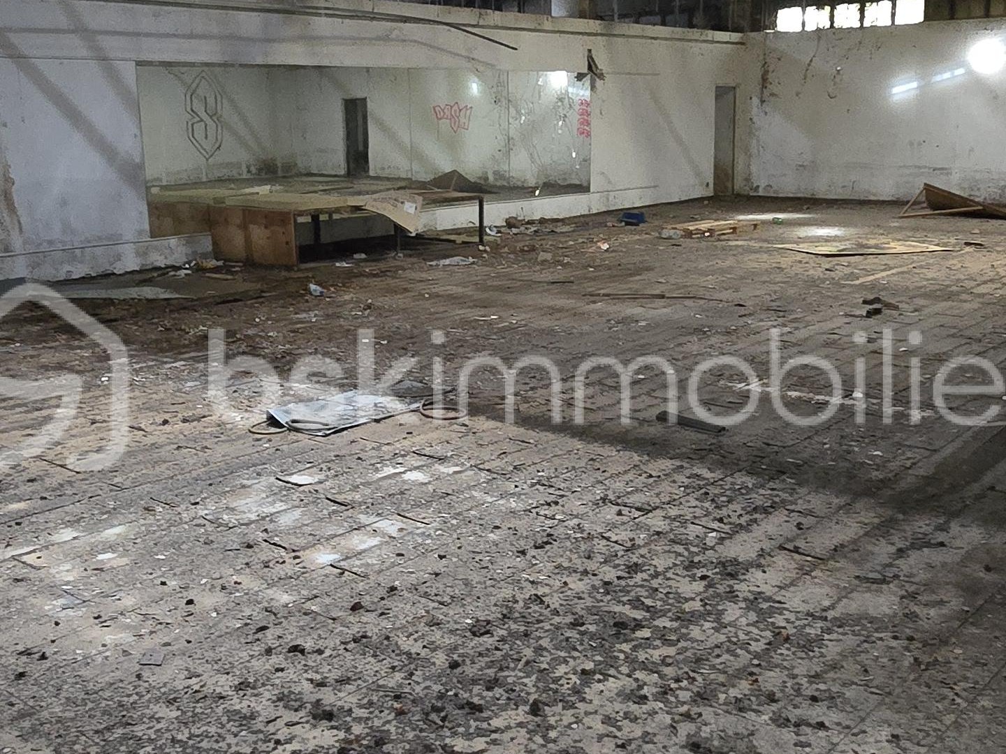 Immeuble 10 pièces 1395 m²