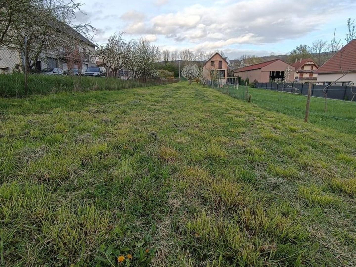 Terrain