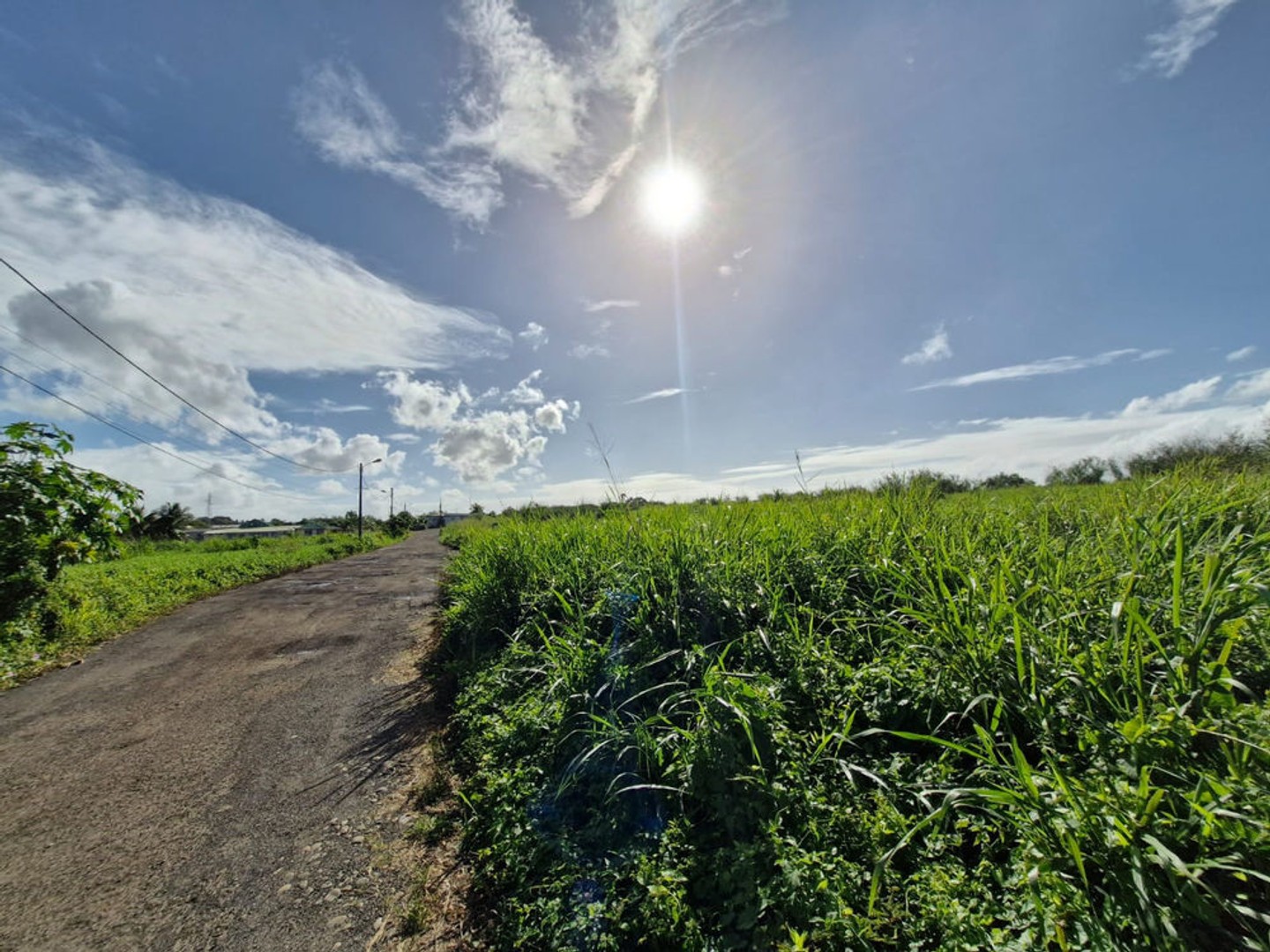 Terrain à vendre - 590m2 - Lamentin (97129)