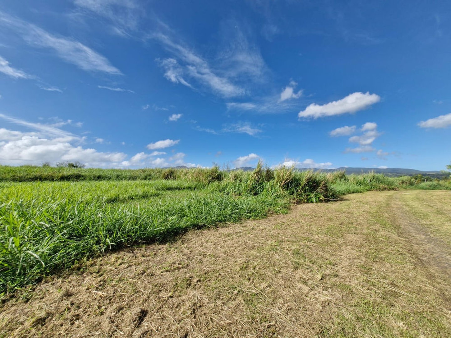 Terrain à vendre - 590m2 - Lamentin (97129)