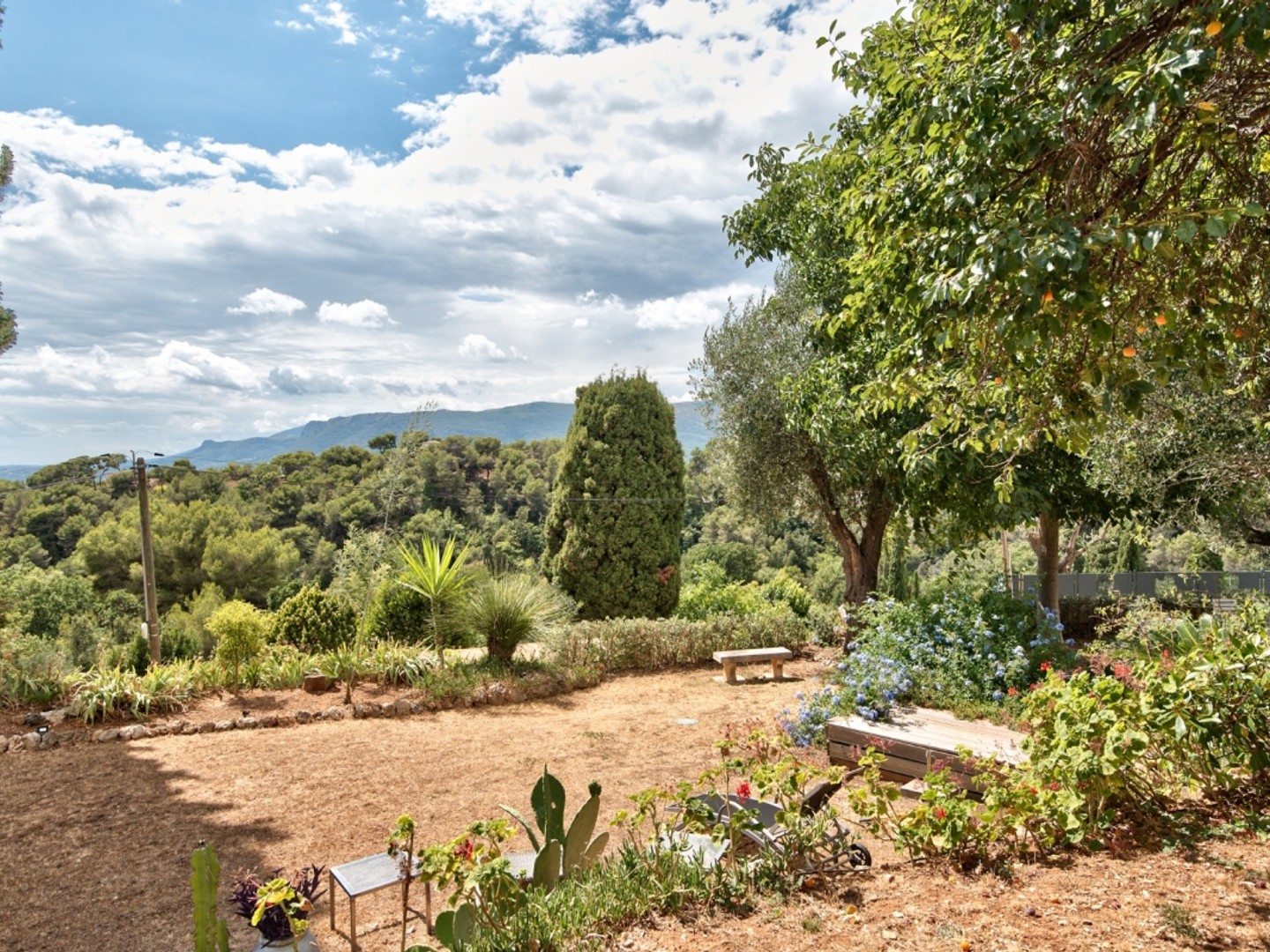 ASPREMONT - TERRAIN PLAT CONSTRUCTIBLE DE 11 600M2 A VENDRE - BELLE VUE DÉGAGÉE - IDEALE PROMOTION IMMOBILIERE