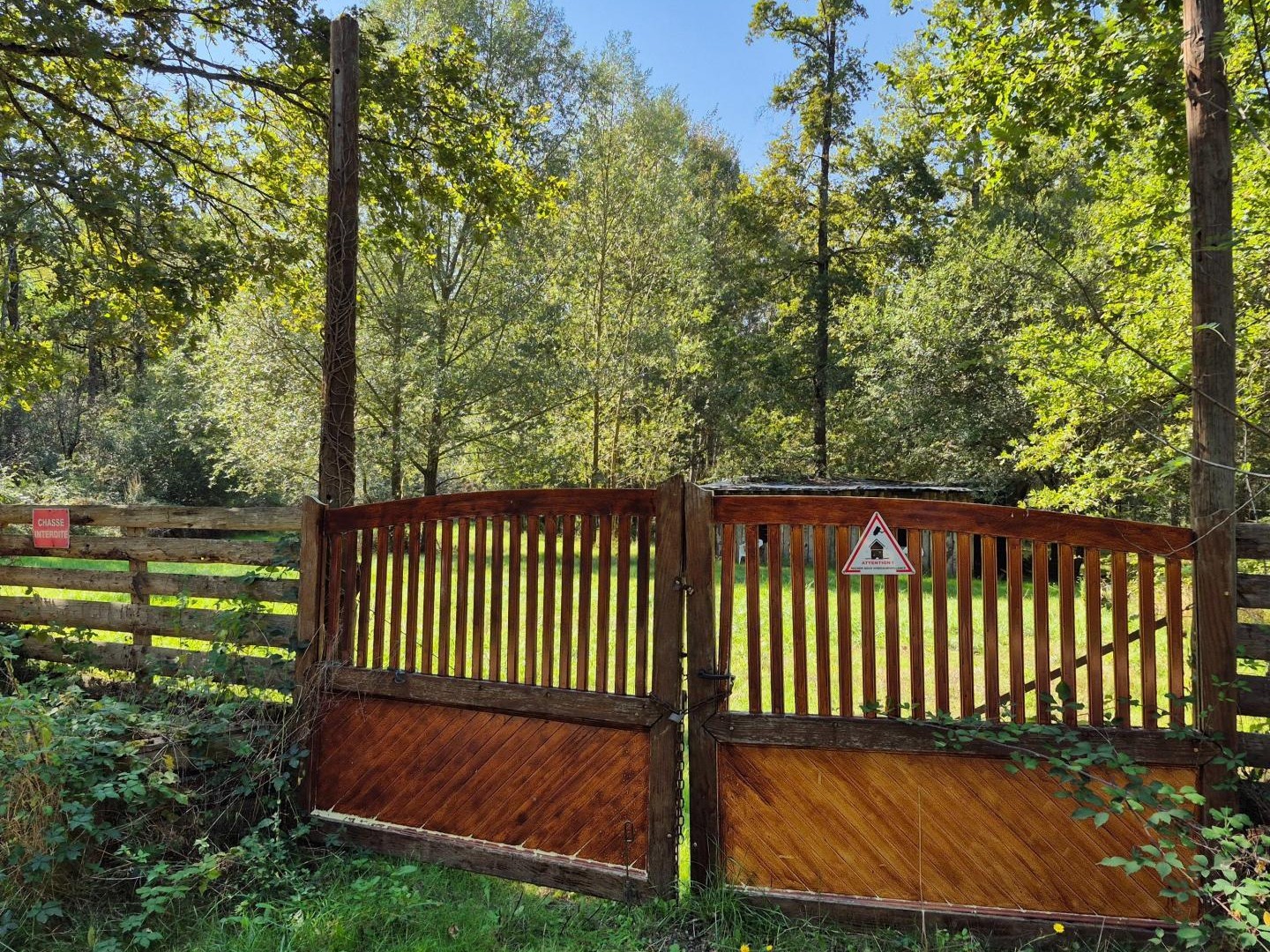 Terrain à vendre - 4556m2 - Guesnes (86420)