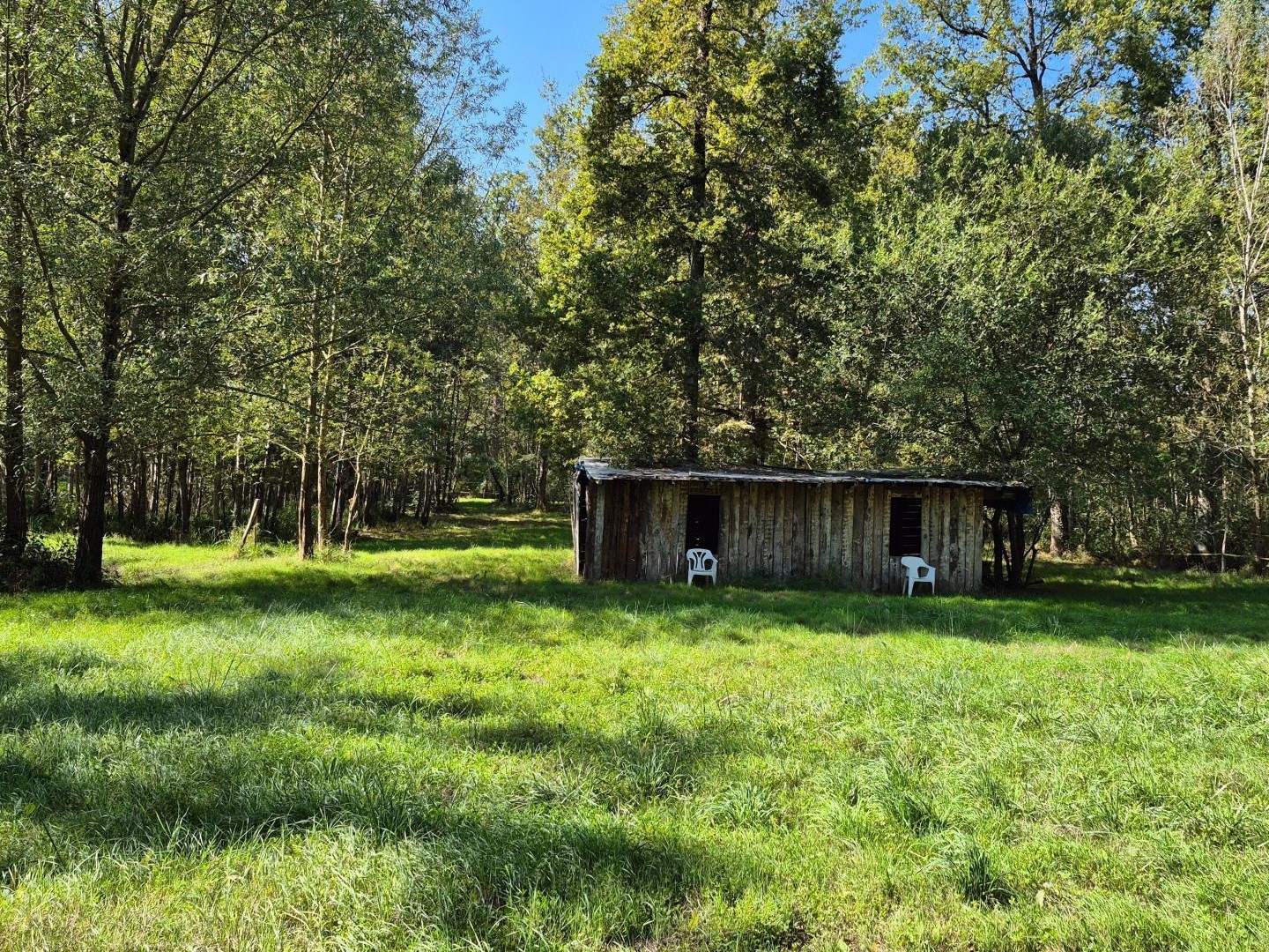 Terrain à vendre - 4556m2 - Guesnes (86420)