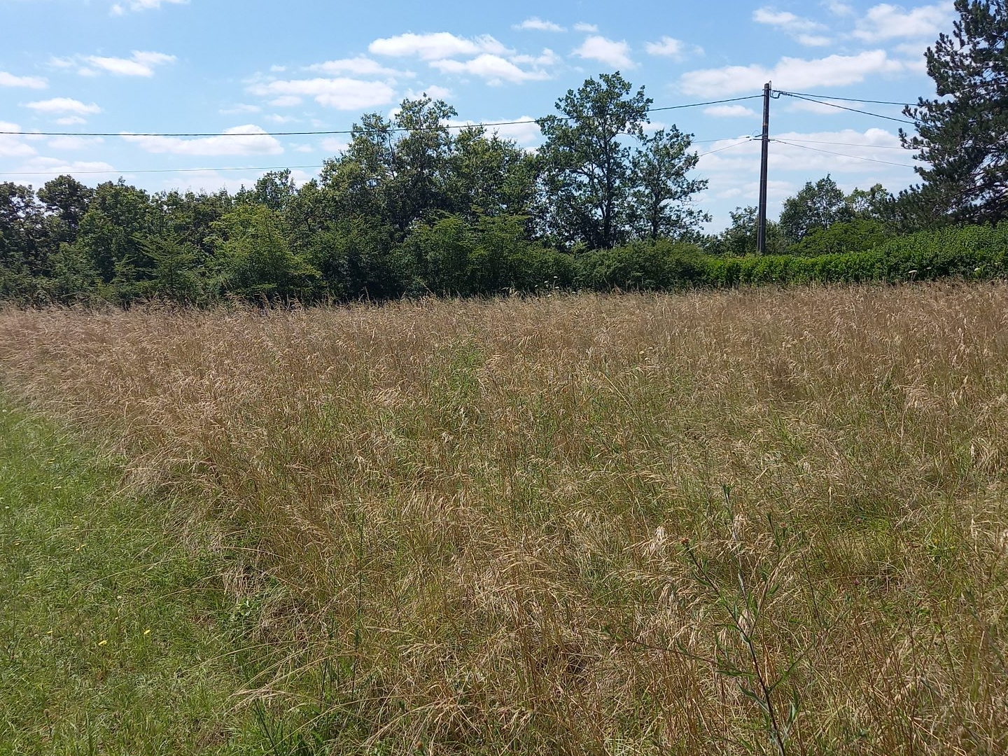 Terrain en individuel 1502 m²