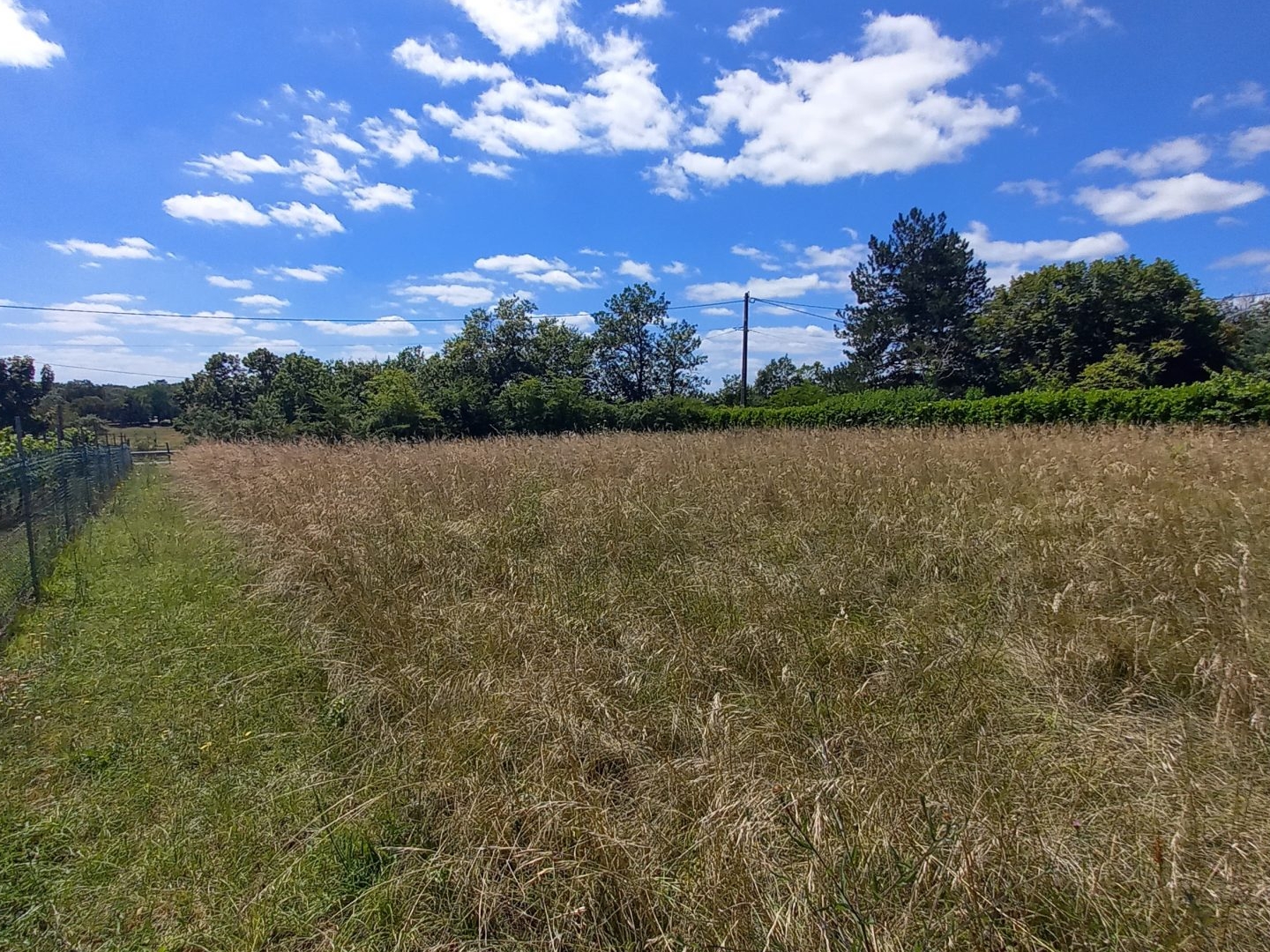 Terrain à vendre - 1502m2 - Castillonnès (47330)