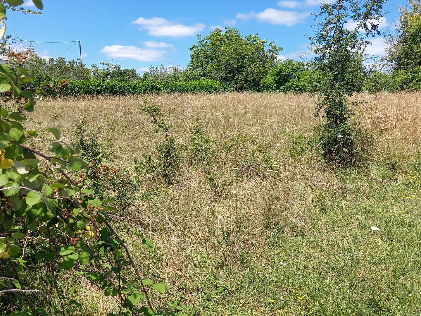 Terrain à vendre - 1502m2 - Castillonnès (47330)