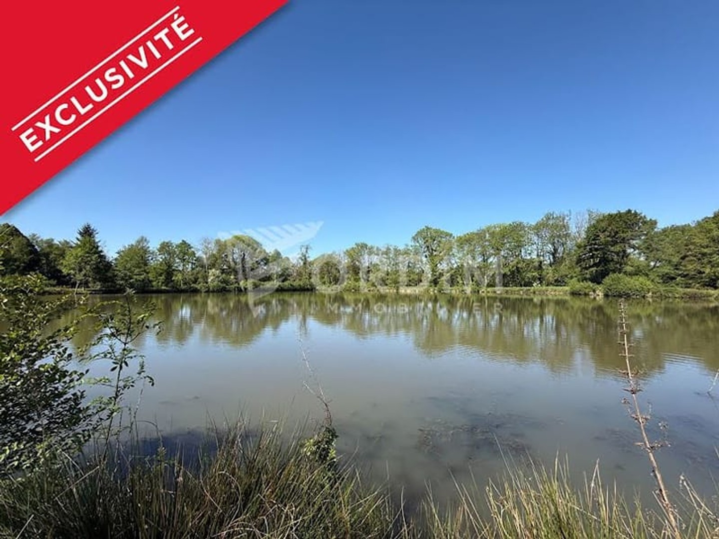 Terrain 20000 m²