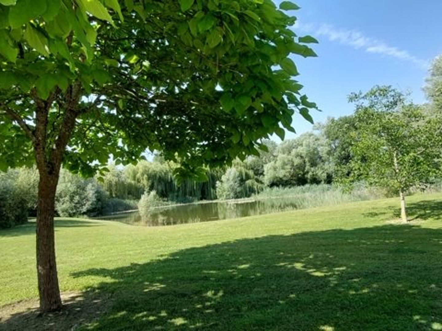 Terrain 14200 m²
