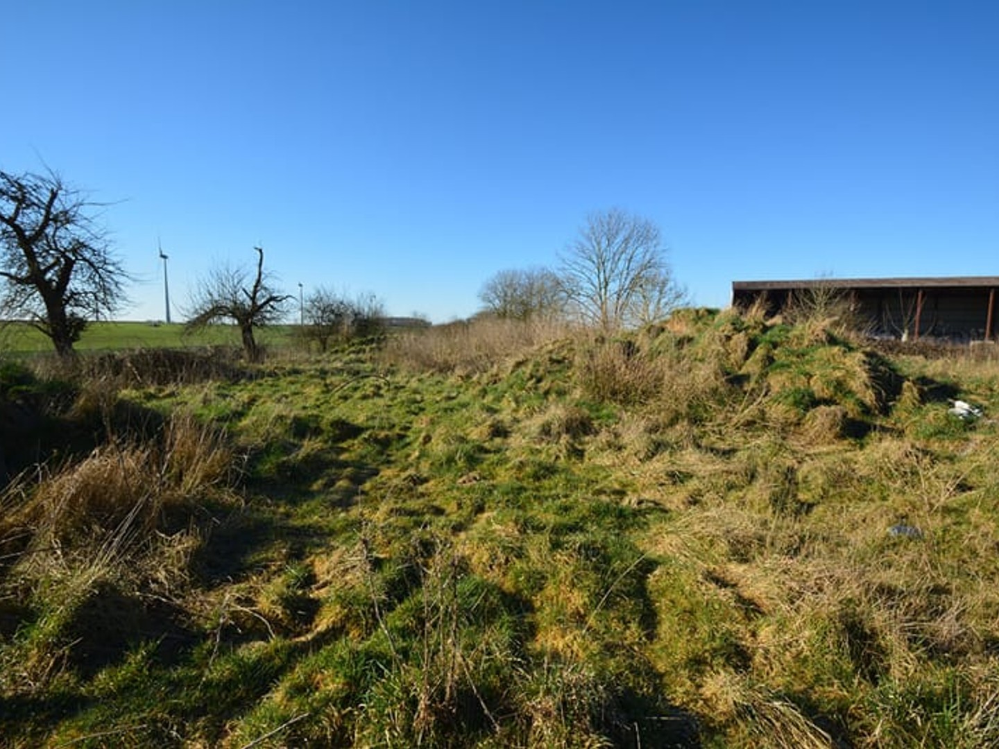 Terrain 1000 m²