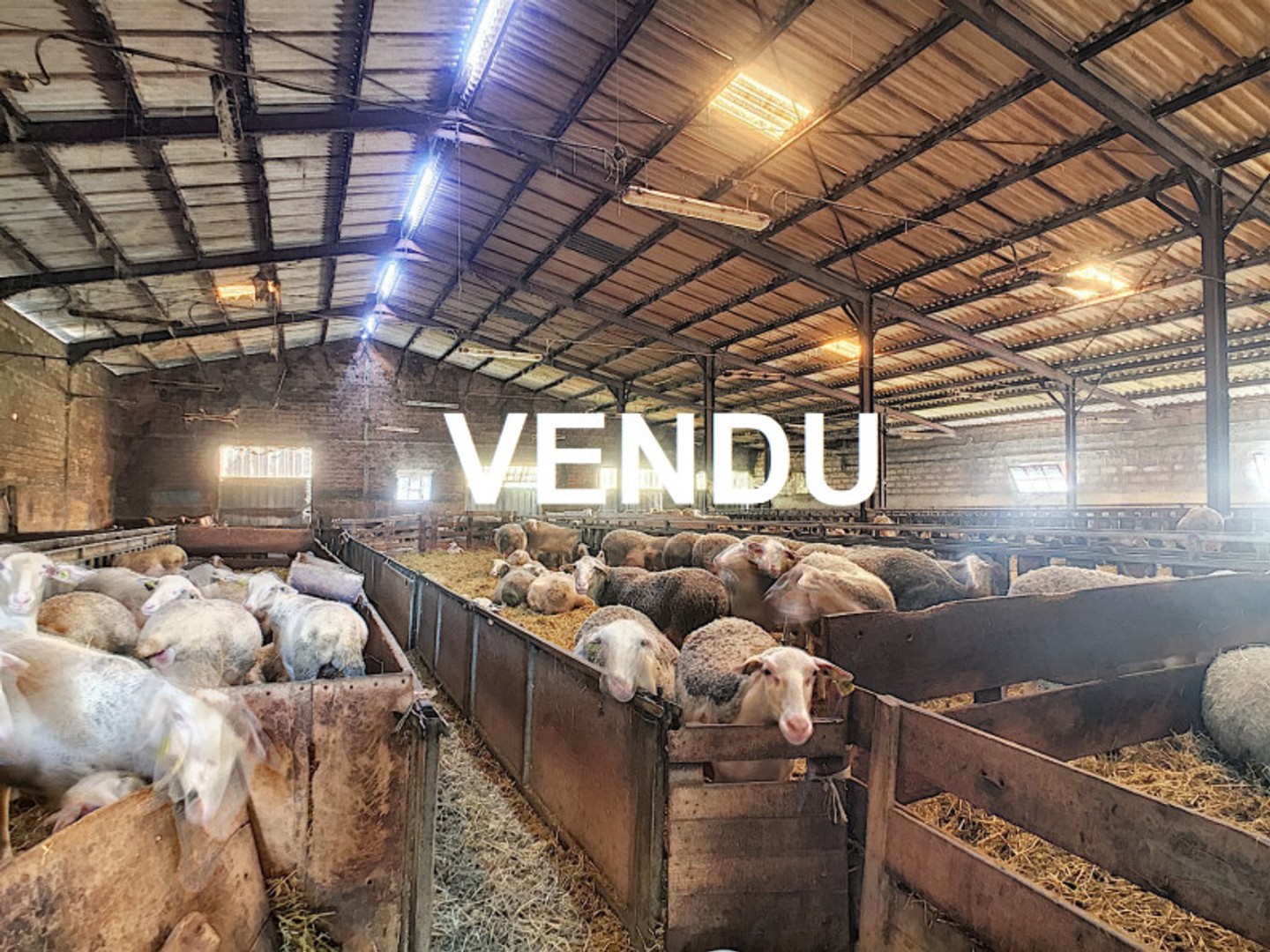 Propriété agricole 4 pièces 95 m²