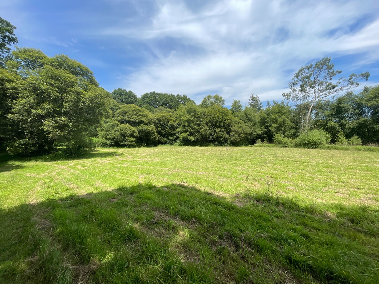 Maison à vendre - 9 pièces - 130m2 - Callac (22160)