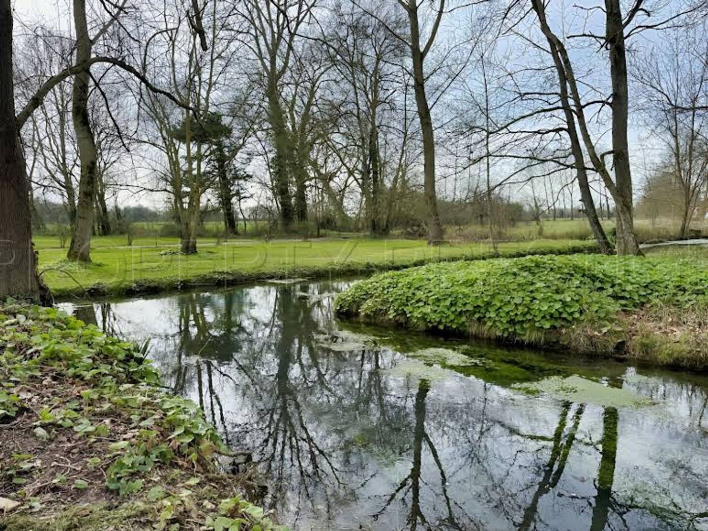 Propriété 15 pièces 1650 m²