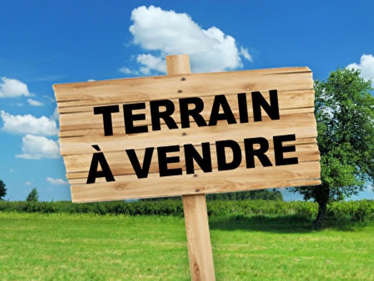 Terrain 1908 m²