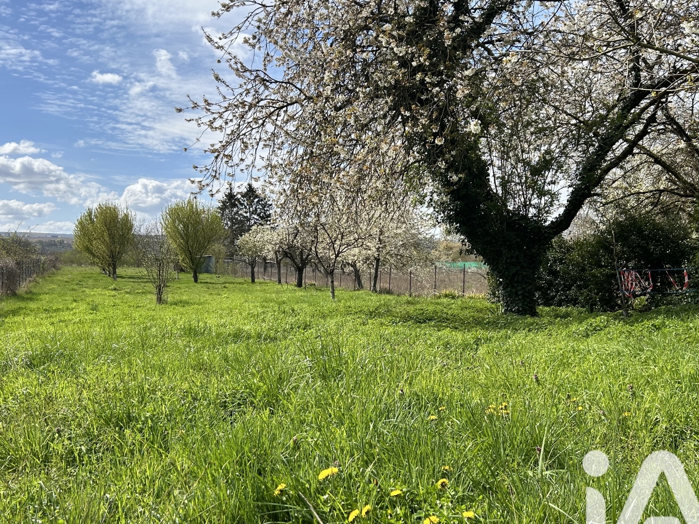 Terrain 2644 m²