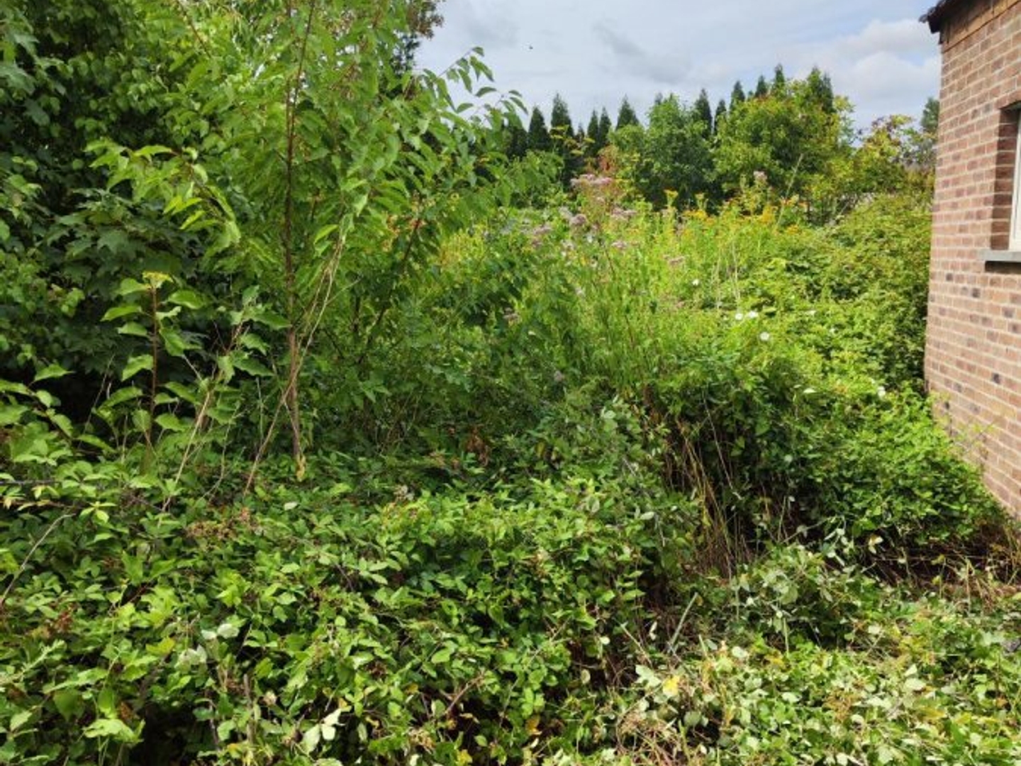Maison à vendre - 2 pièces - 85m2 - Maubeuge (59600)