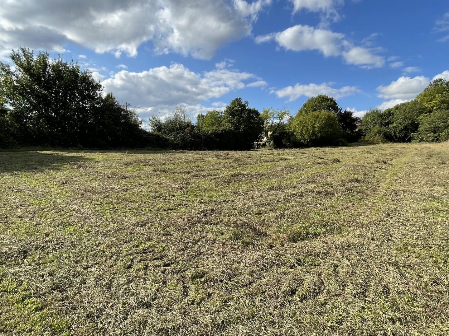 Terrain en individuel 1000 m²