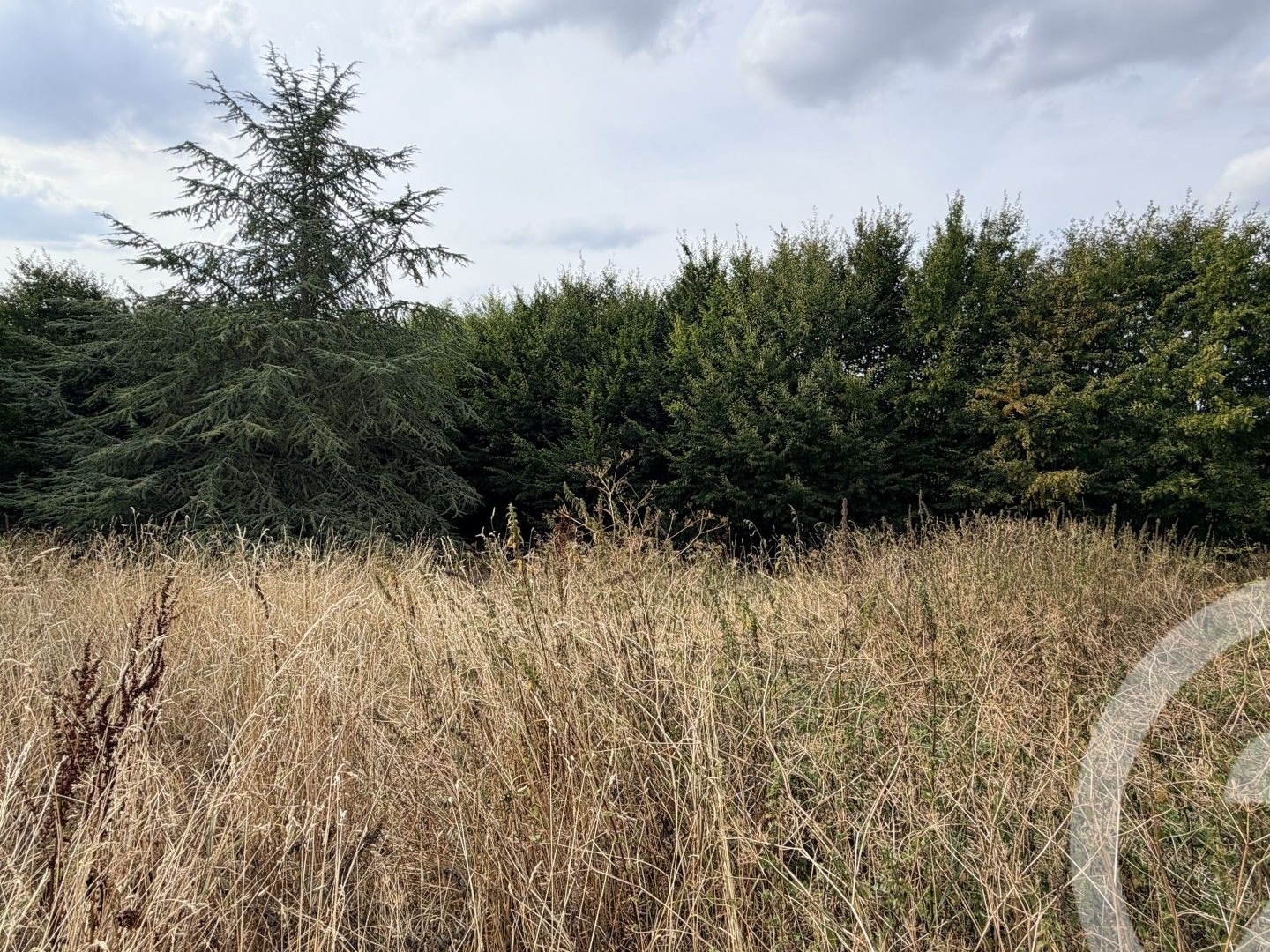 Terrain à vendre - 824m2 - Villers-Sur-Le-Roule (27940)