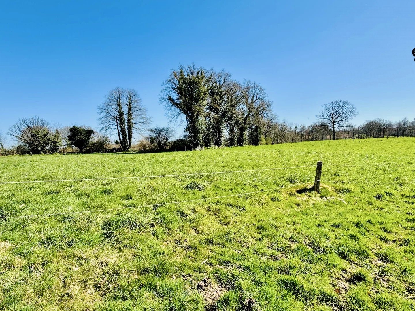 Terrain à vendre - 133420m2 - Montaudin (53220)