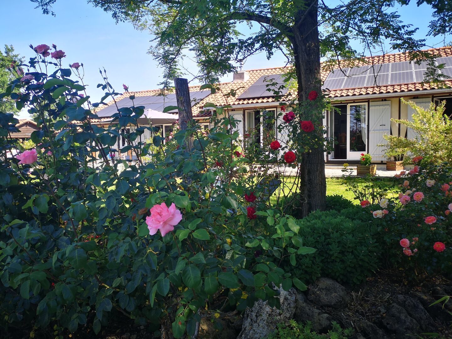 Maison à vendre - 8 pièces - 292m2 - Vic-Fezensac (32190)