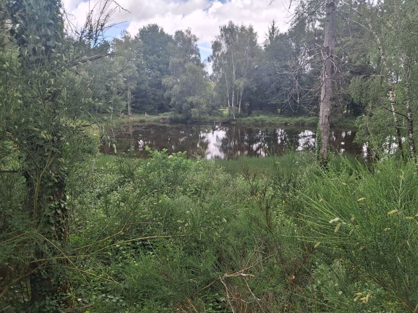 Terrain en individuel 22750 m²