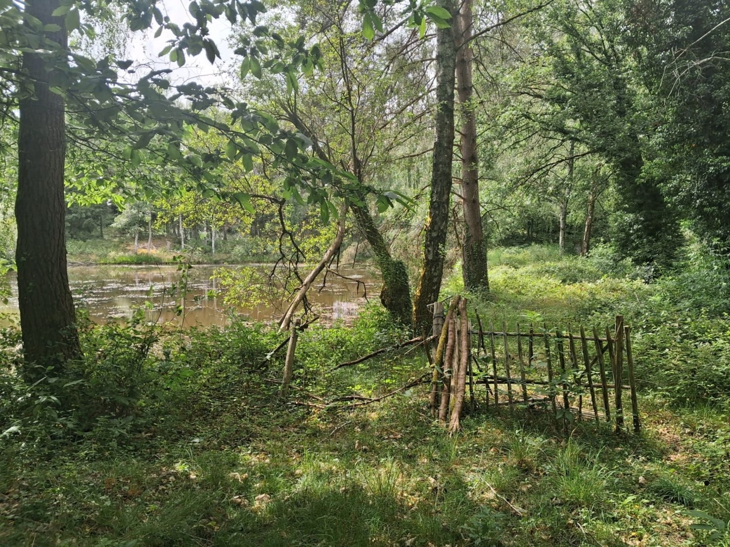 Terrain à vendre - 22750m2 - Rilhac-Lastours (87800)