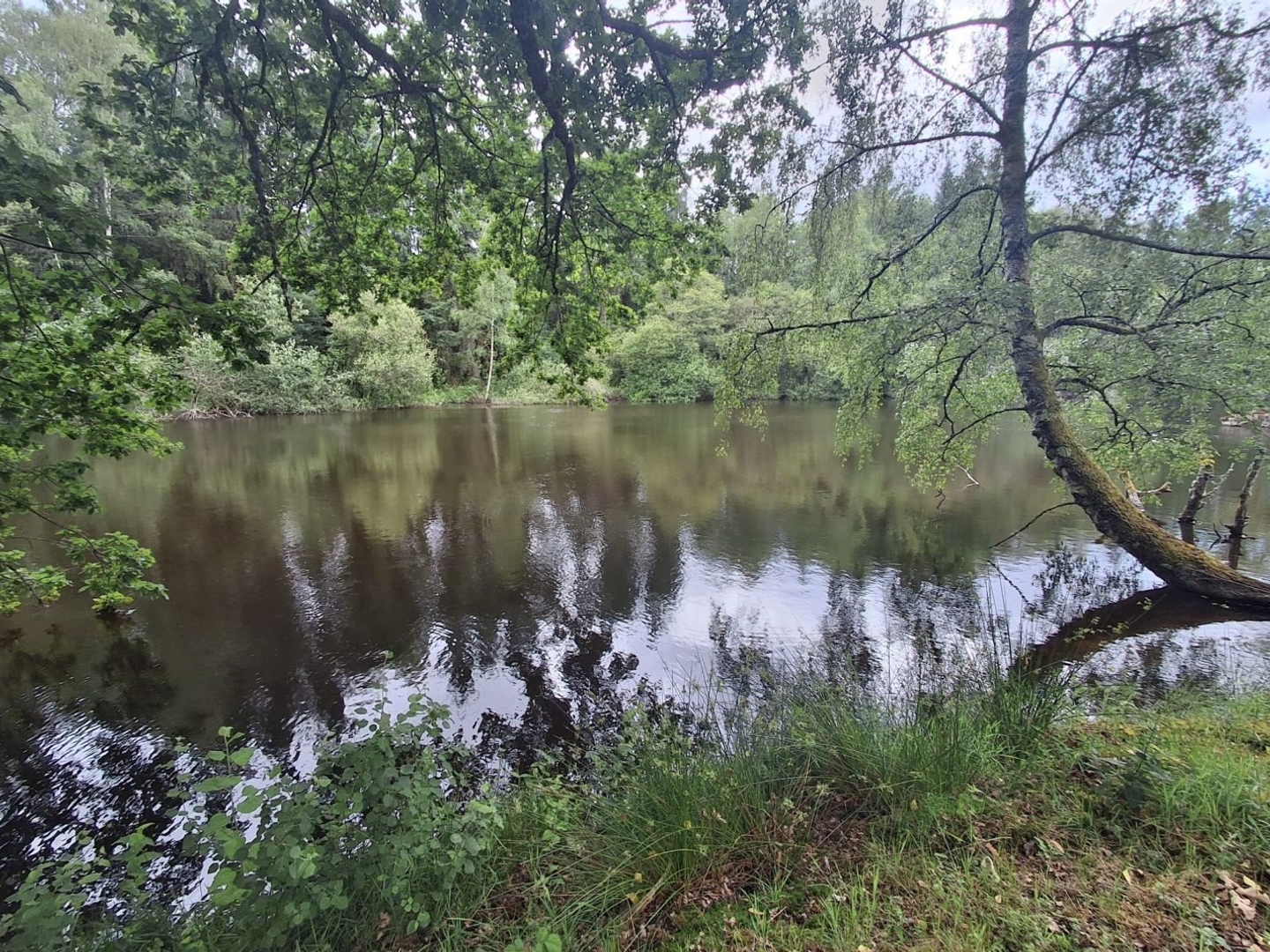Terrain à vendre - 22750m2 - Rilhac-Lastours (87800)