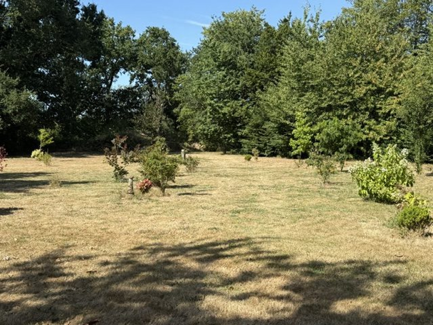 Maison à vendre - 6 pièces - 190m2 - Saint-Domineuc (35190)