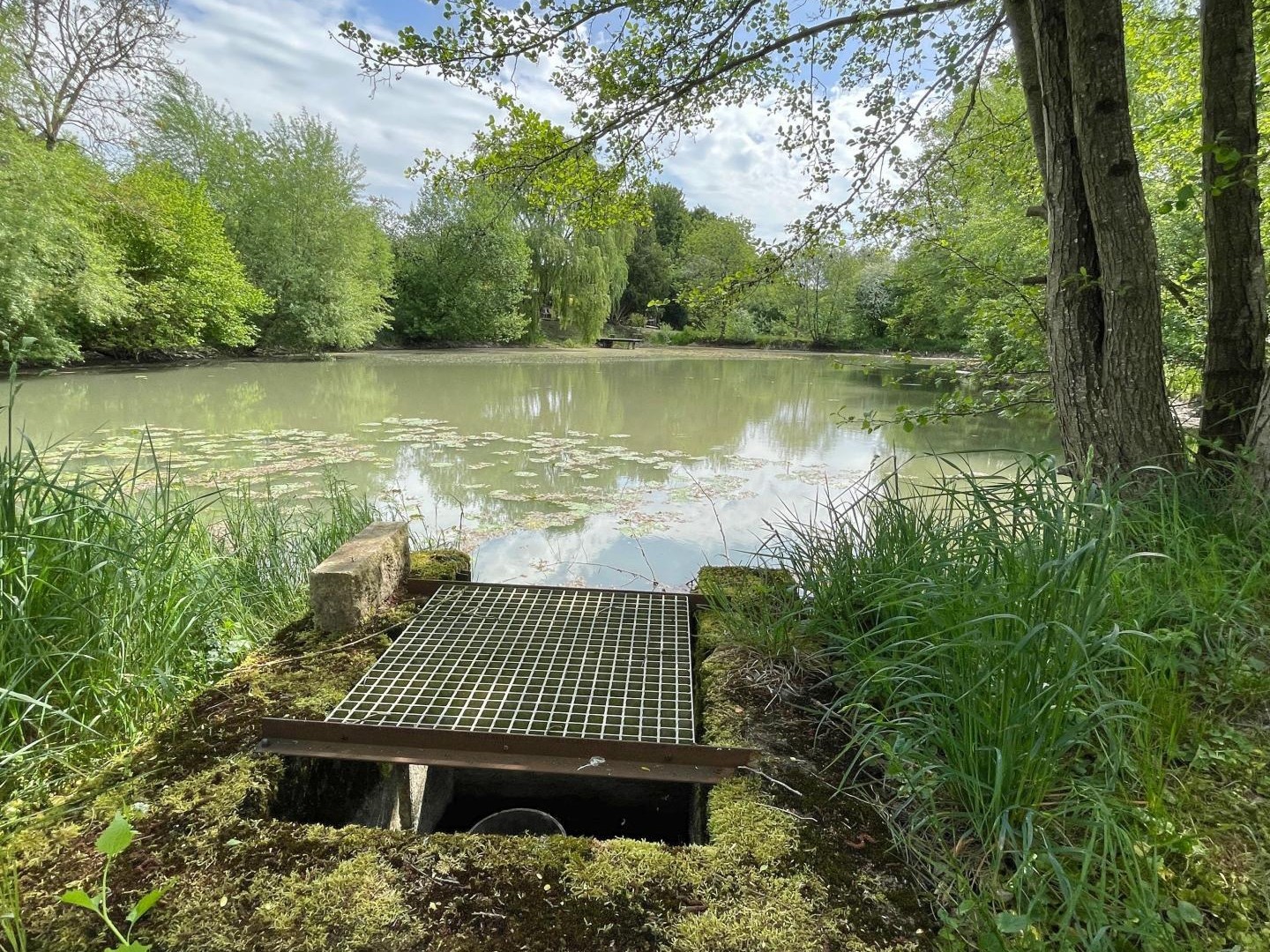 Havre de paix en pleine campagne !