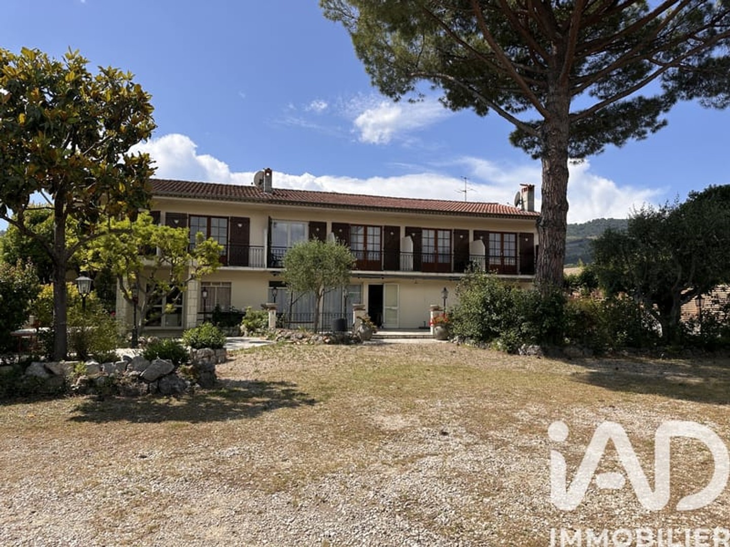 Local 481 m²
