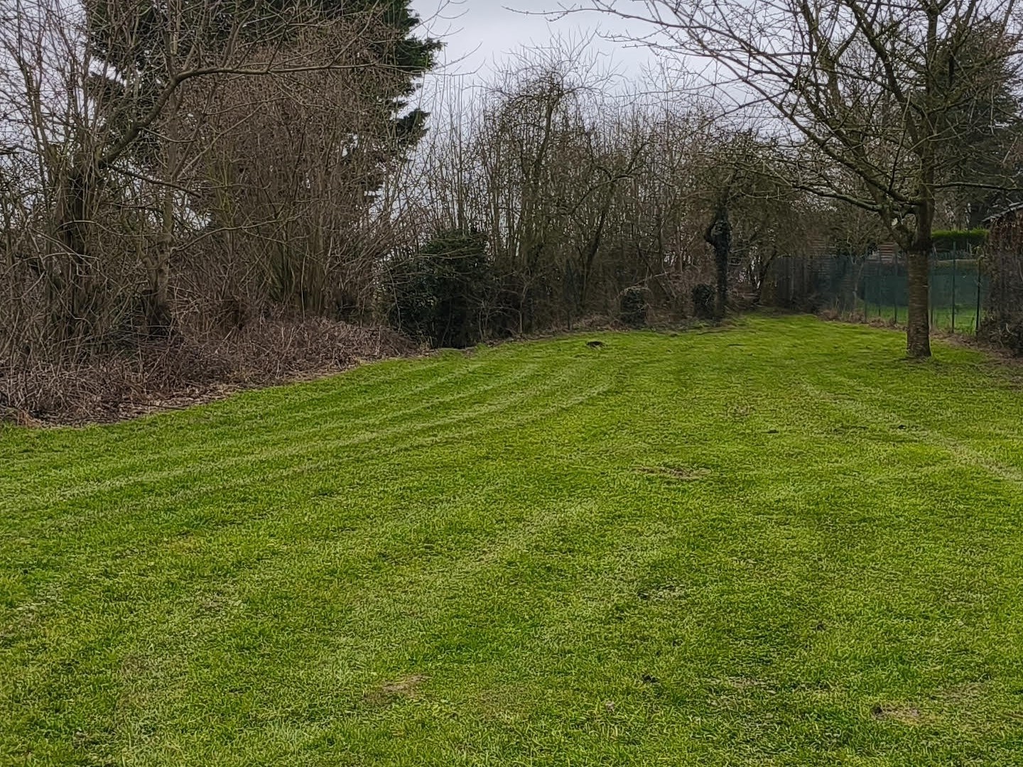 Terrain 1475 m²
