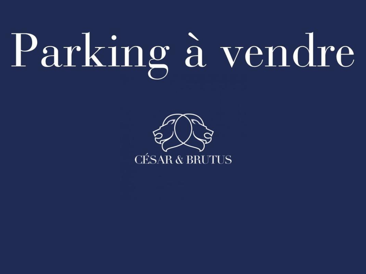 Vends parking - Villeurbanne 69100