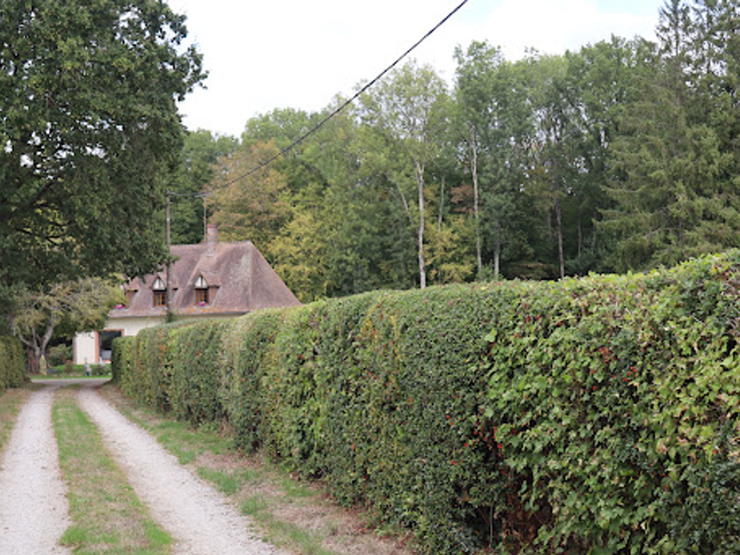 Maison à vendre - 7 pièces - 230m2 - Tourouvre Au Perche (61190)