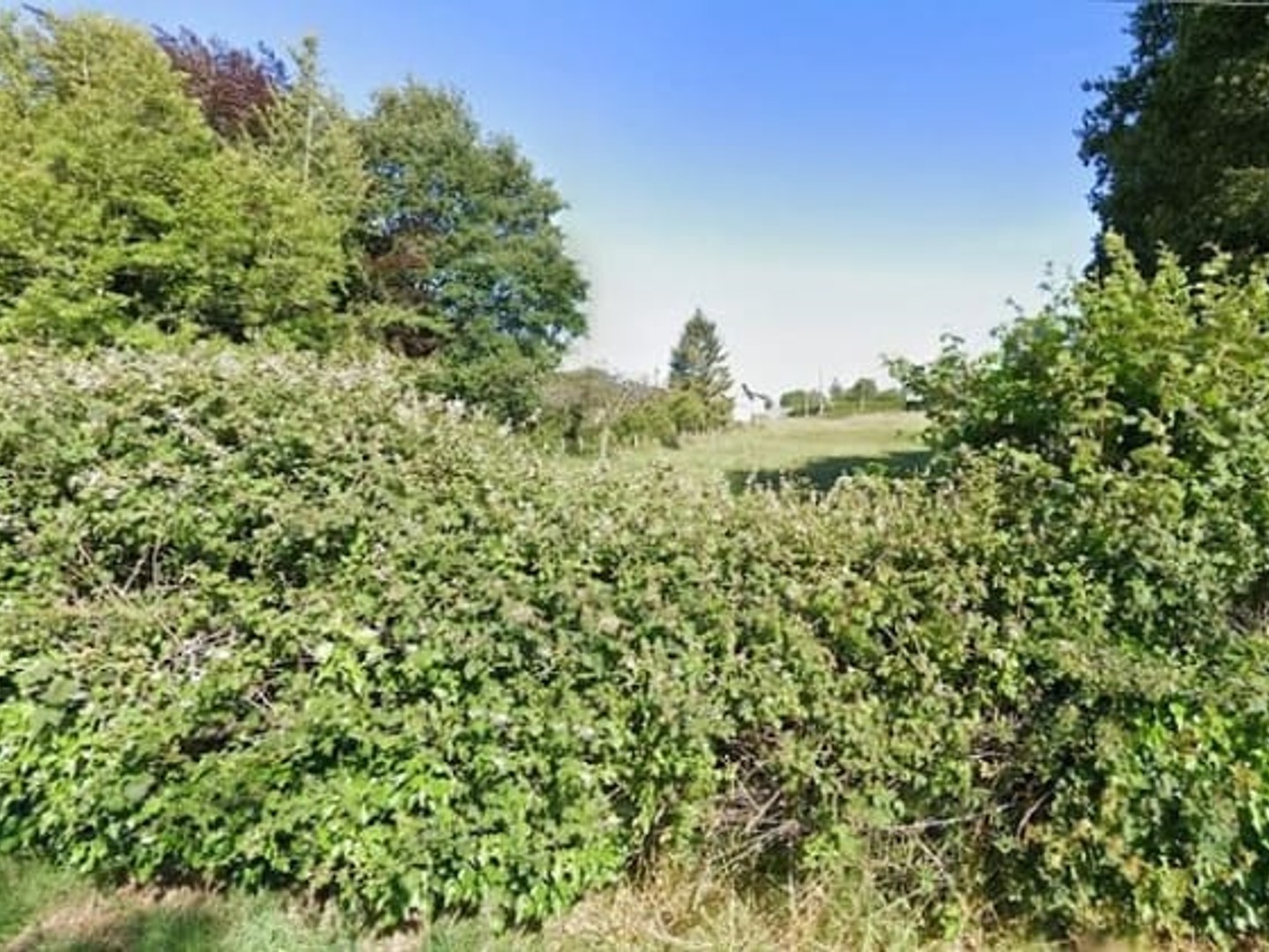 Maison 115 m²