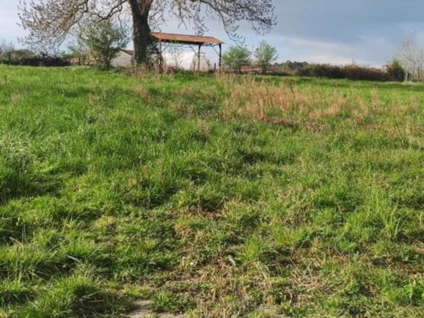 Terrain à bâtir de 1196m² à Saint-Sylvestre-Pragoulin