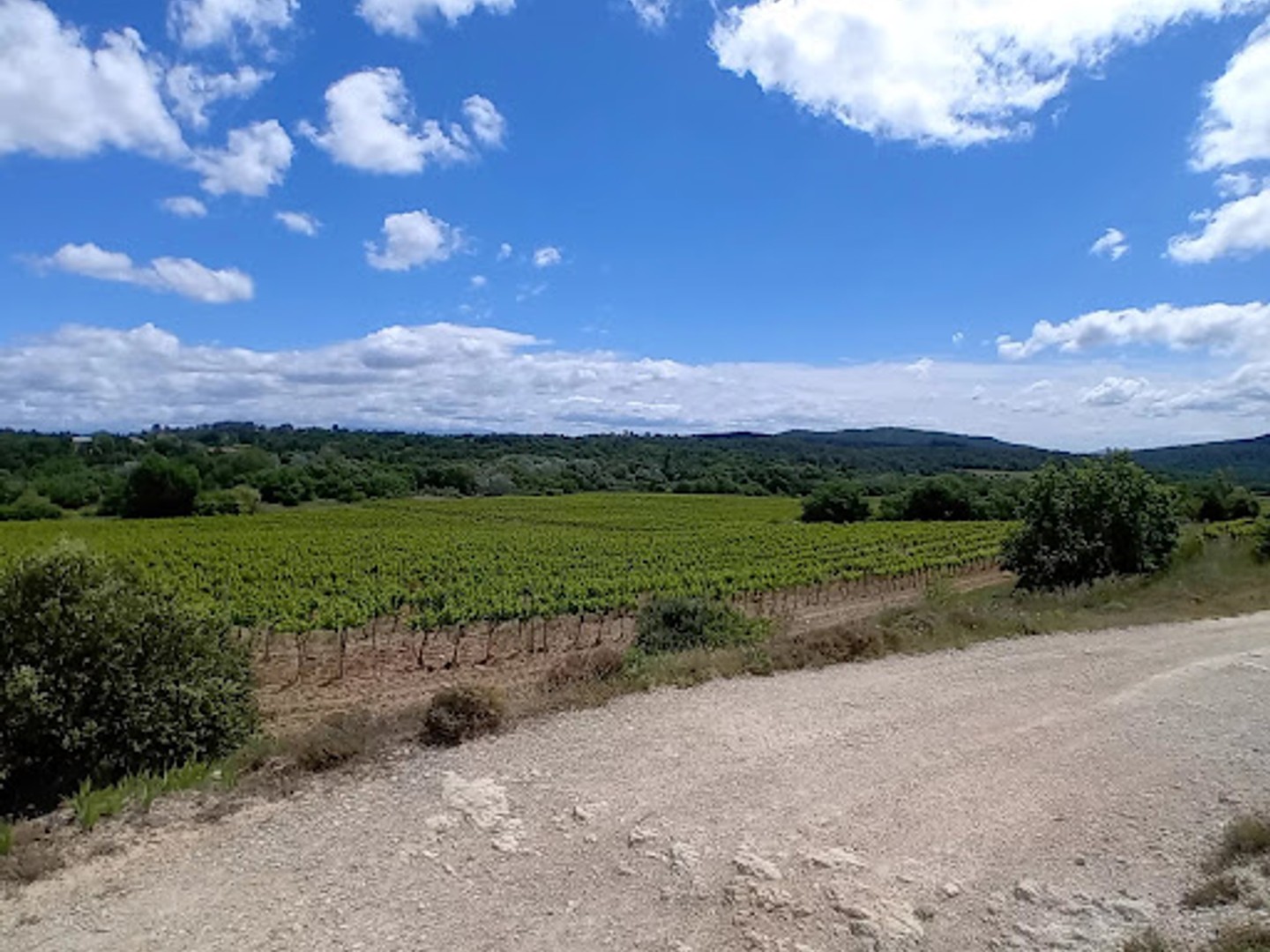 Vignoble 3400000 m²