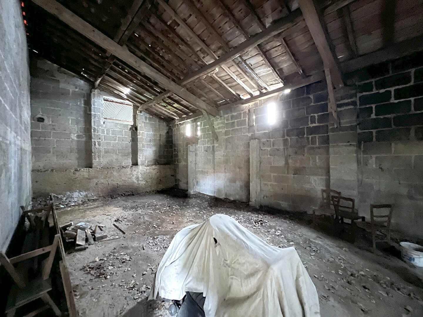 Local 1 pièce 100 m²