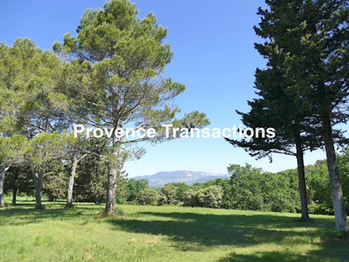 Maison à vendre - 280m2 - Loriol-Du-Comtat (84870)