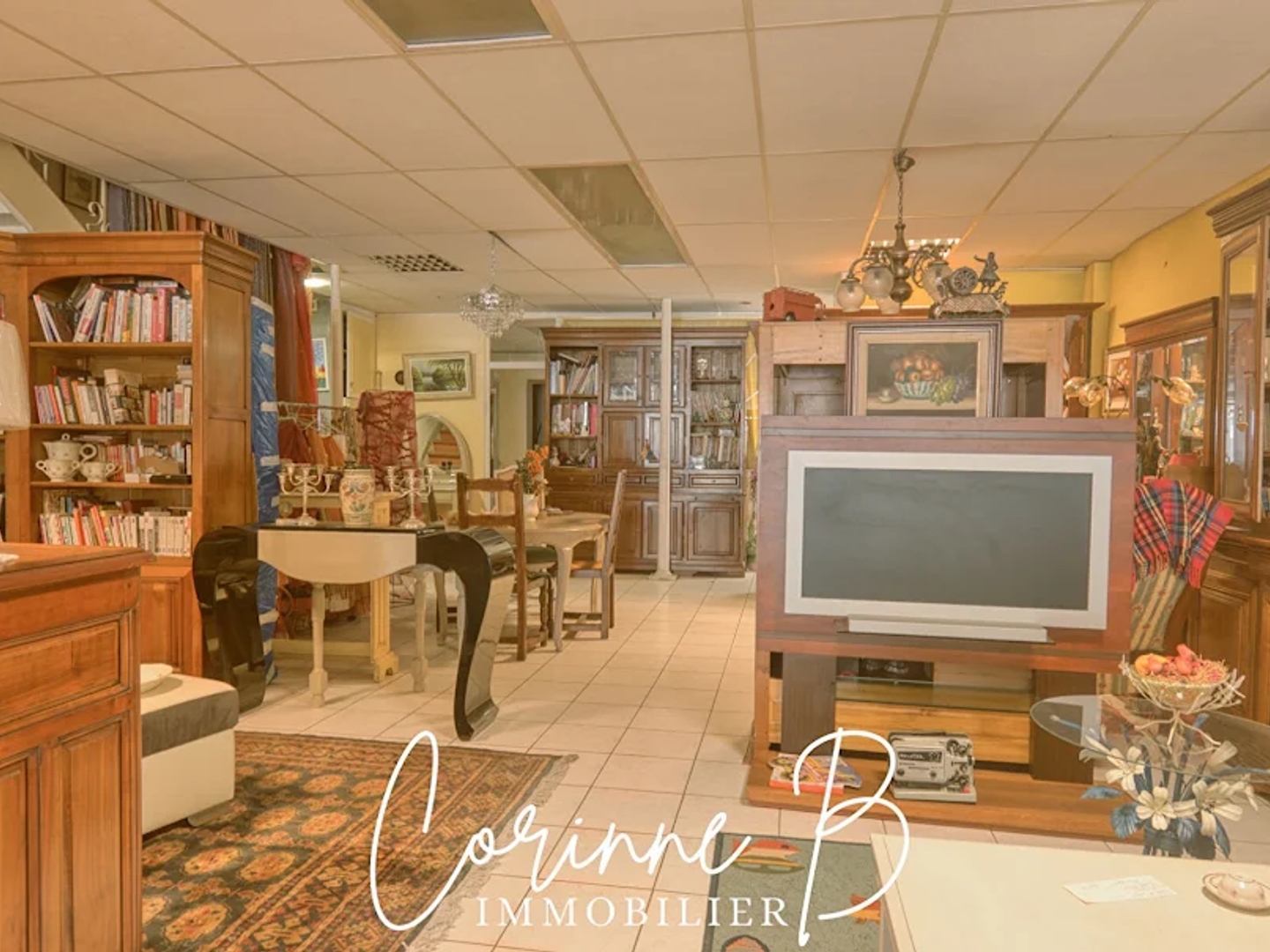 Immeuble à vendre - 8 pièces - 591m2 - Puiseaux (45390)