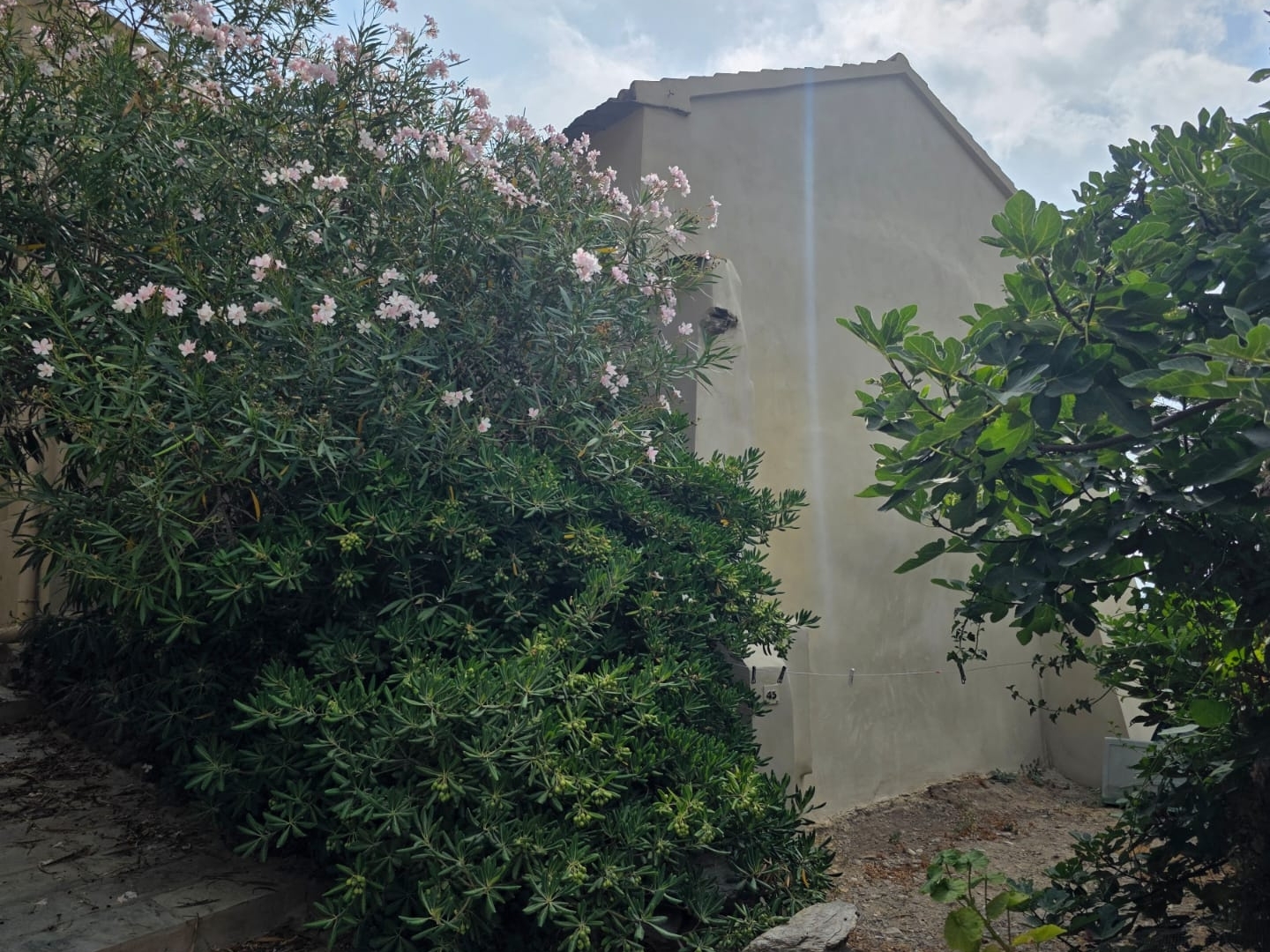 Maison à vendre - 5 pièces - 78m2 - Tomino (20248)