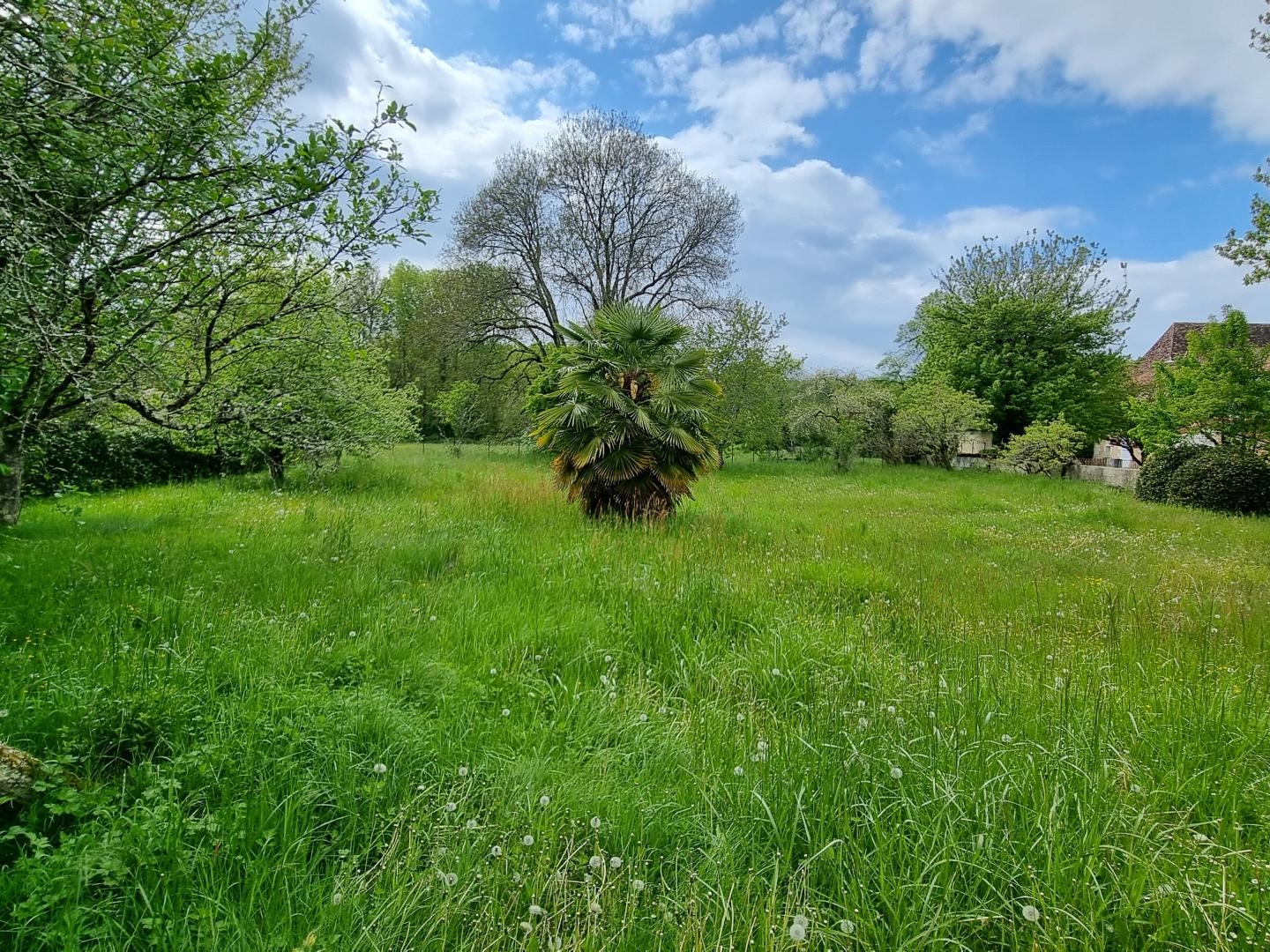 Terrain à vendre - 956m2 - Saint-Front-La-Ri... (24300)