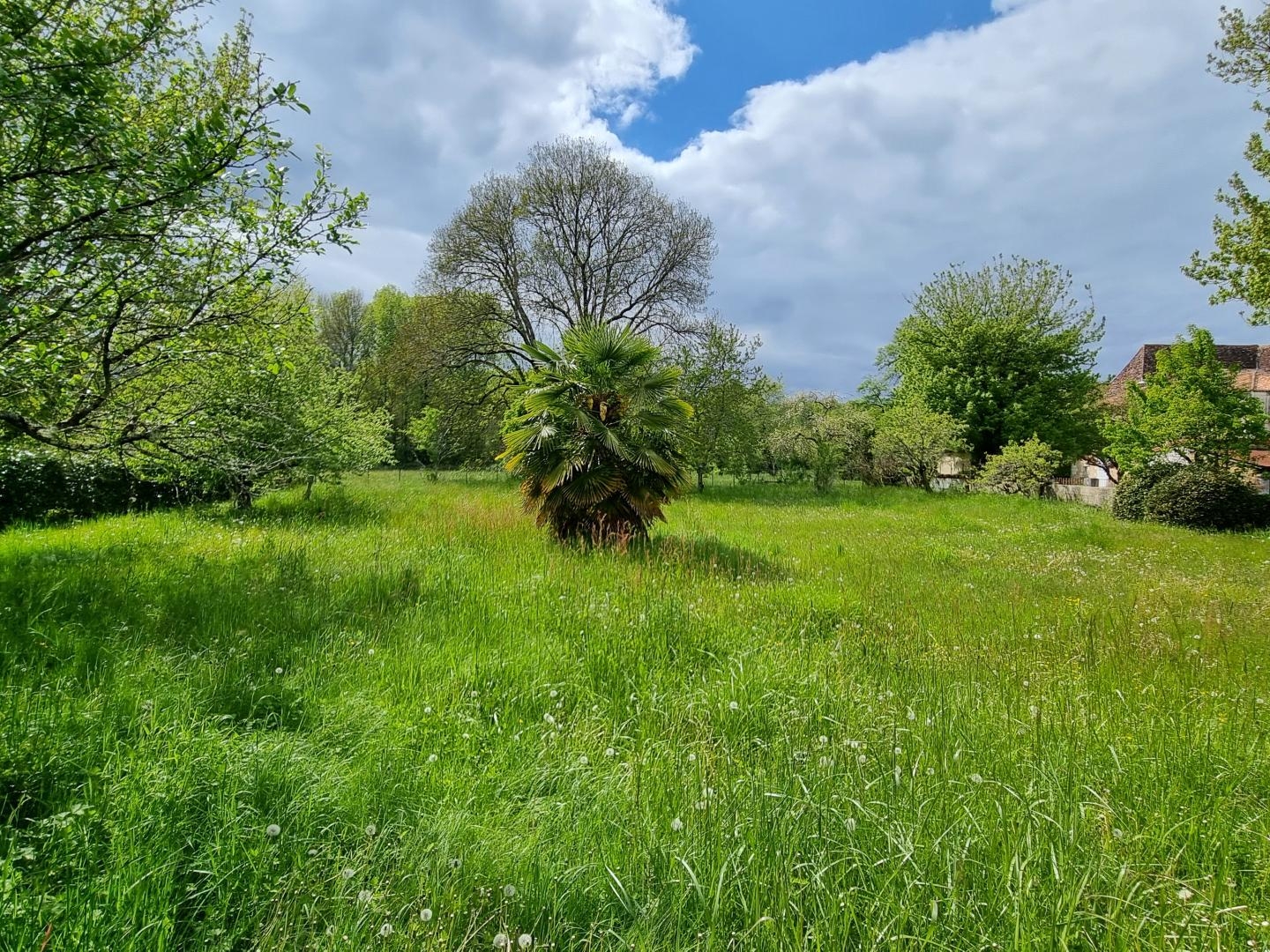 Terrain à vendre - 956m2 - Saint-Front-La-Ri... (24300)
