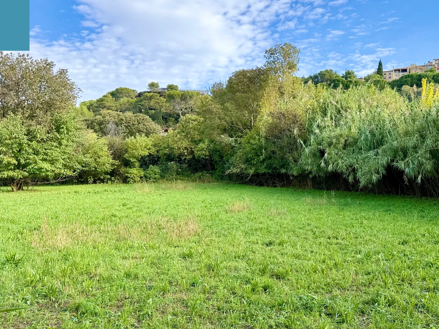 Terrain à vendre - 1768m2 - Cornillon-Confoux (13250)