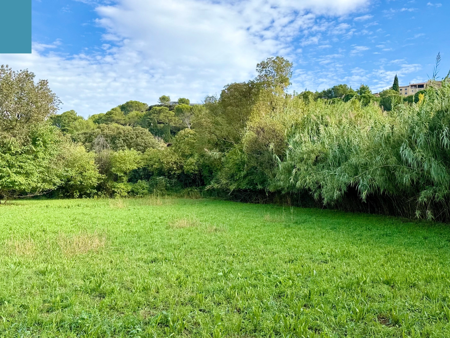 Terrain à vendre - 1768m2 - Cornillon-Confoux (13250)